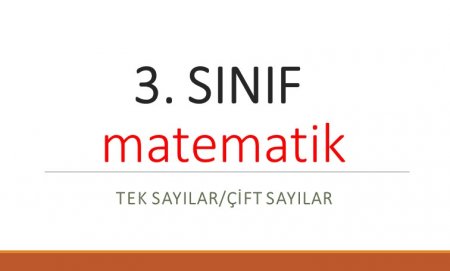 3. Sınıf Matematik Tek Sayılar ve Çift Sayılar Etkinliği