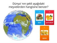 3. Sınıf Fen Bilimleri Gezegenimiz Dünya İnteraktif Test