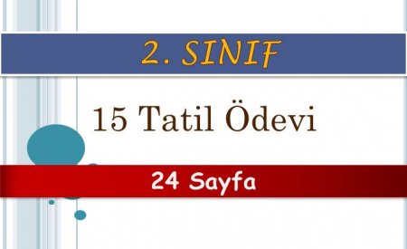 2. Sınıf 15 Tatil Ödevi