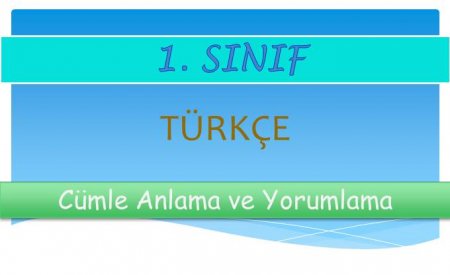 1. Sınıf Türkçe Cümle Anlama ve Yorumlama Etkinliği