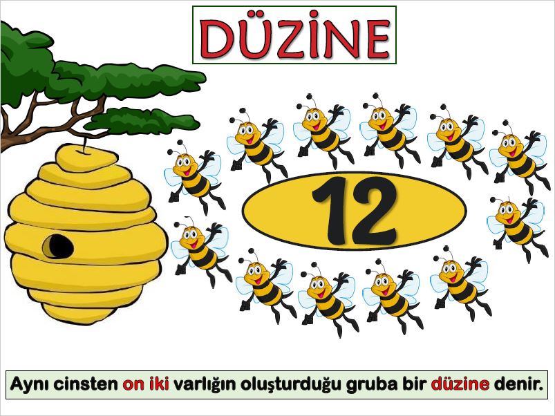 2. Sınıf Pano İçin Düzine Posteri