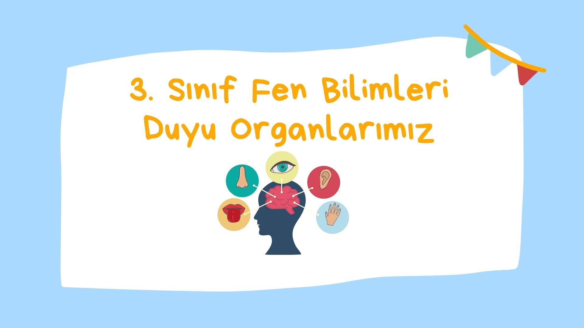 3. Sınıf Fen Bilimleri Duyu Organlarımı ve Duyu Organlarımızın Sağlığı Konu Özeti