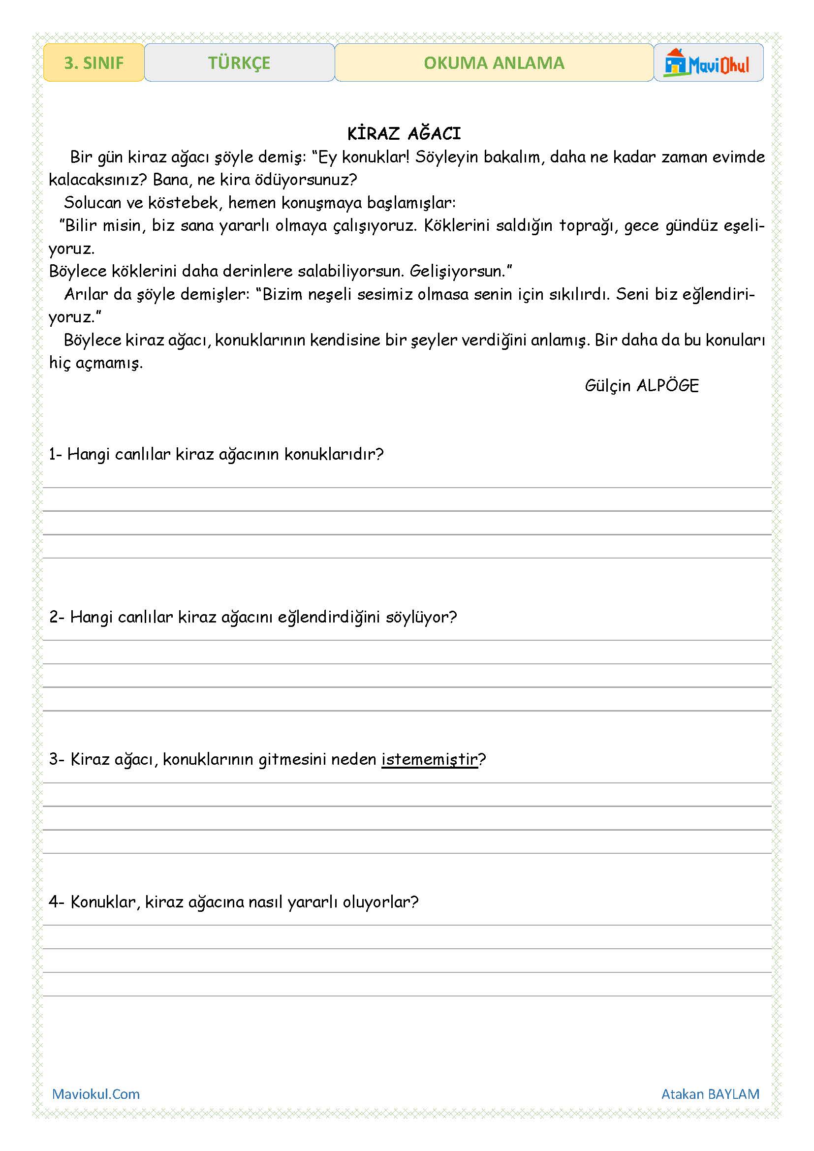 3. Sınıf Türkçe Okuma Anlama - Kiraz Ağacı