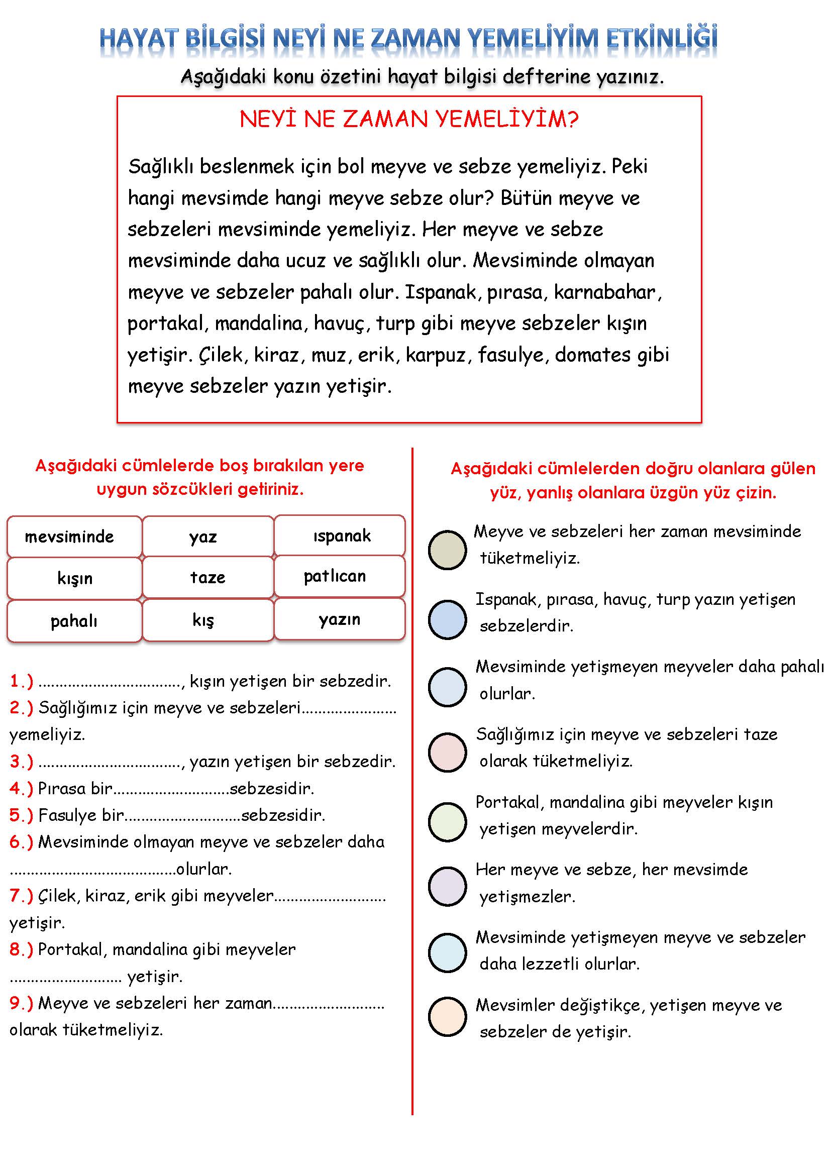 3. Sınıf Hayat Bilgisi Neyi Ne Zaman Yemeliyim Etkinliği