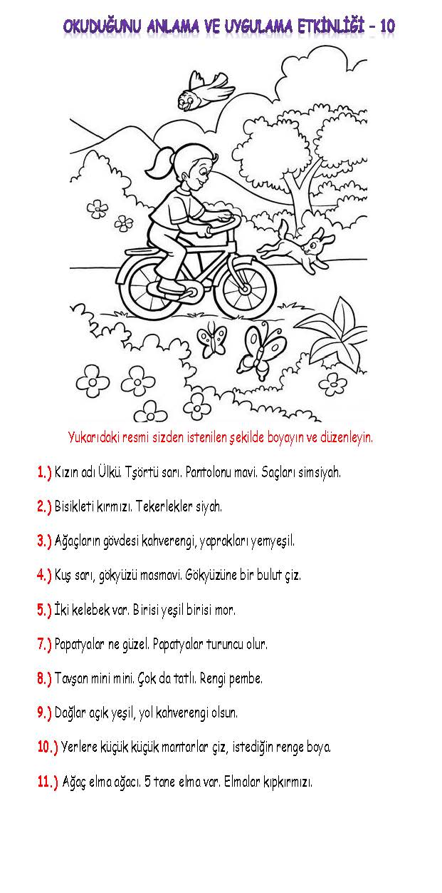 1. Sınıf Türkçe Okuduğunu Anlama ve Uygulama Etkinliği-10