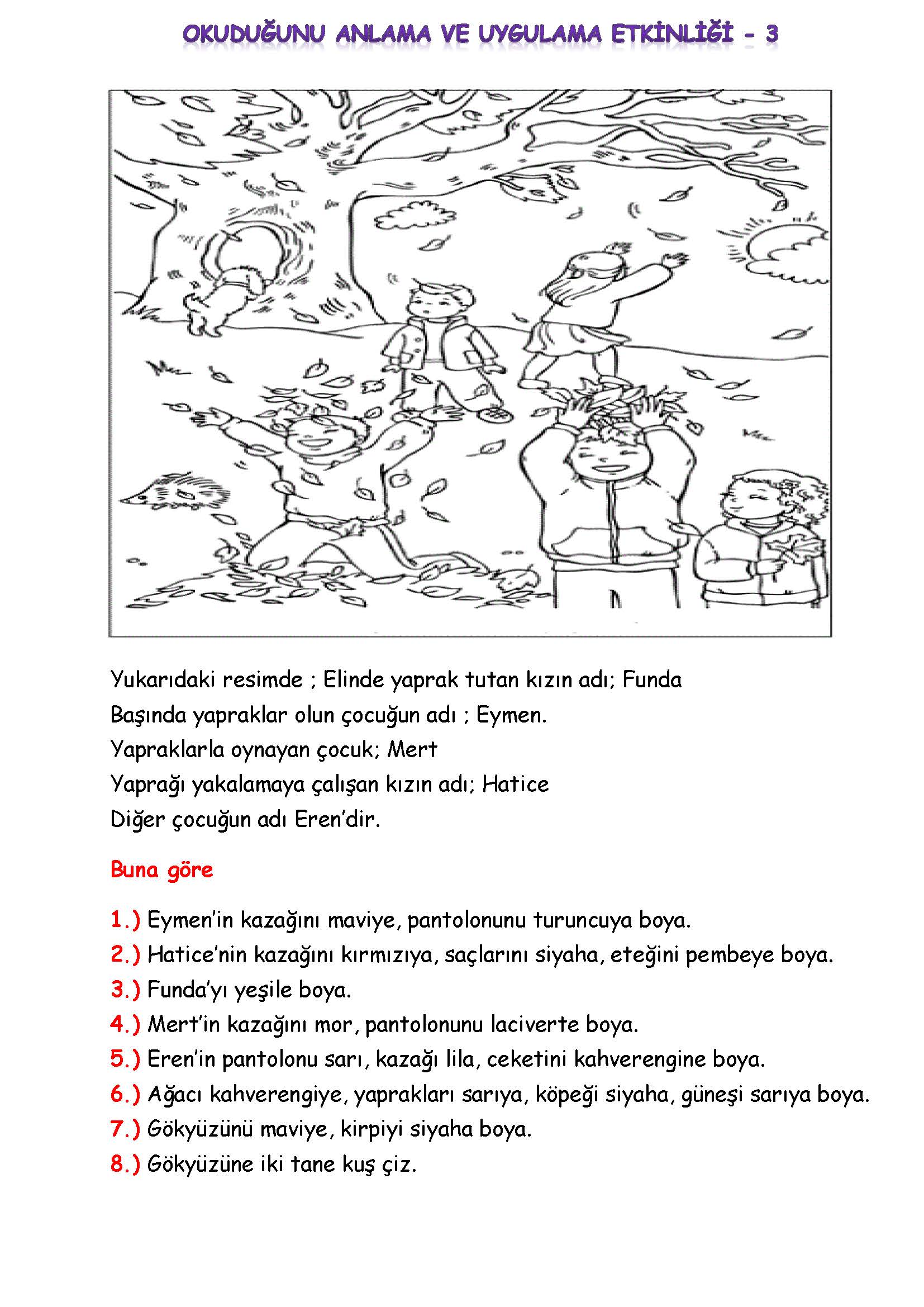 1. Sınıf Türkçe Okuduğunu Anlama ve Uygulama Etkinliği - 3