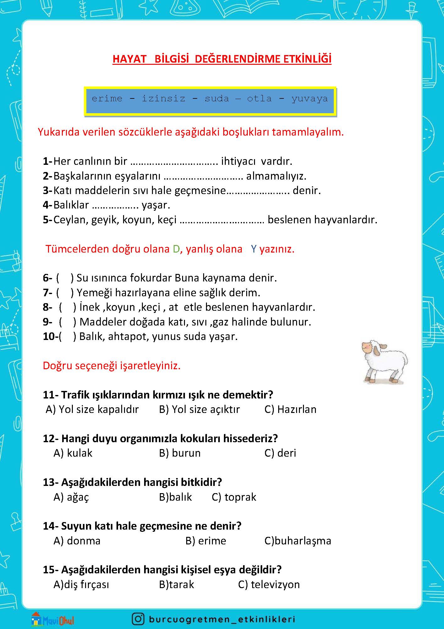 1. SINIF HAYAT BİLGİSİ DEĞERLENDİRME