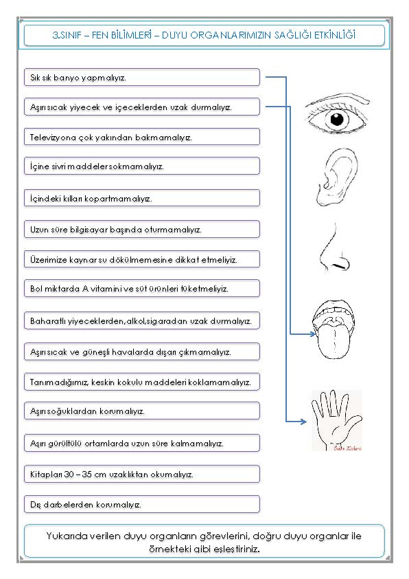 3. Sınıf Fen Bilimleri Duyu Organlarımızın Sağlığı Etkinliği