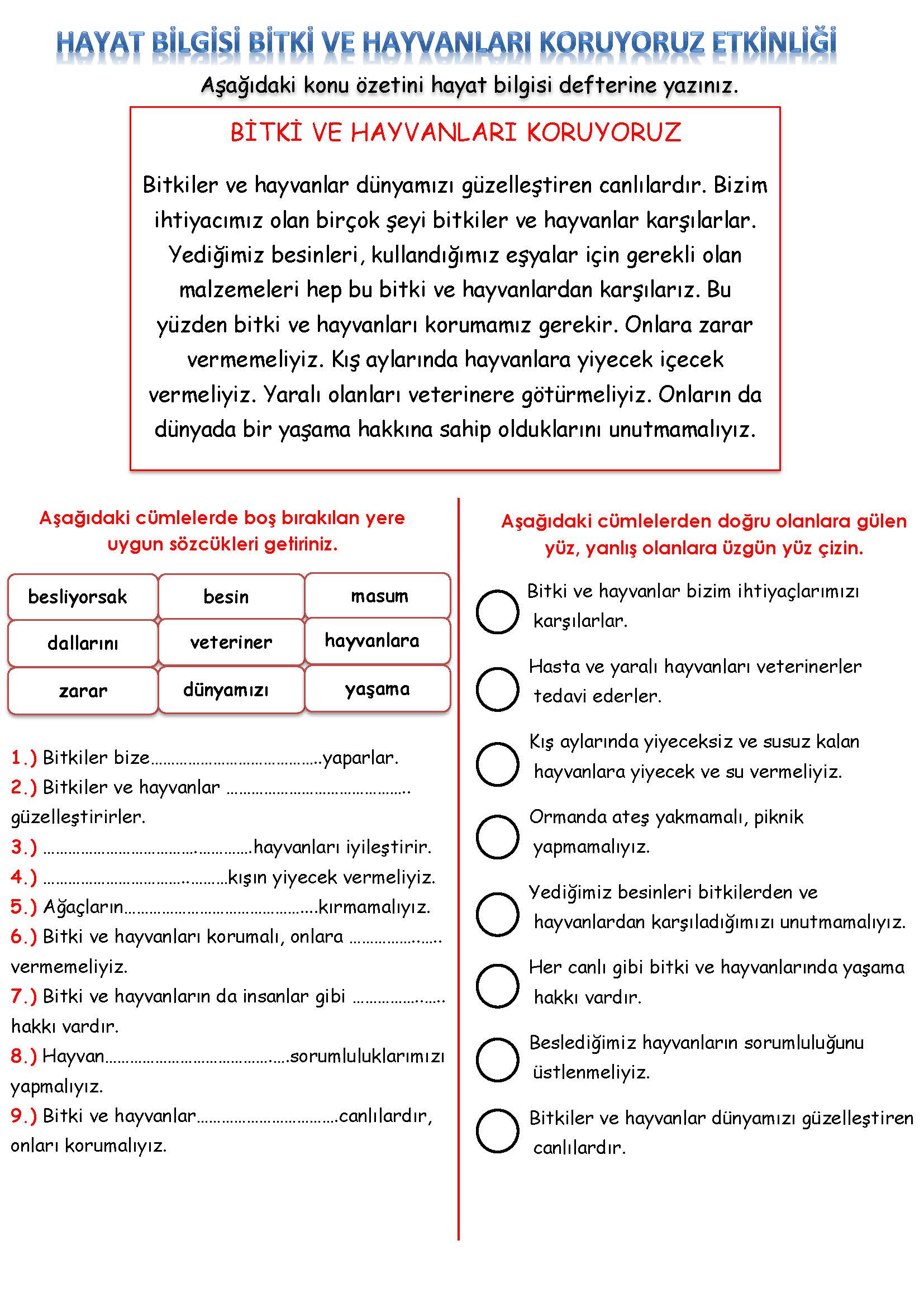 2. Sınıf Hayat Bilgisi Bitki ve Hayvanları Koruyoruz Etkinliği