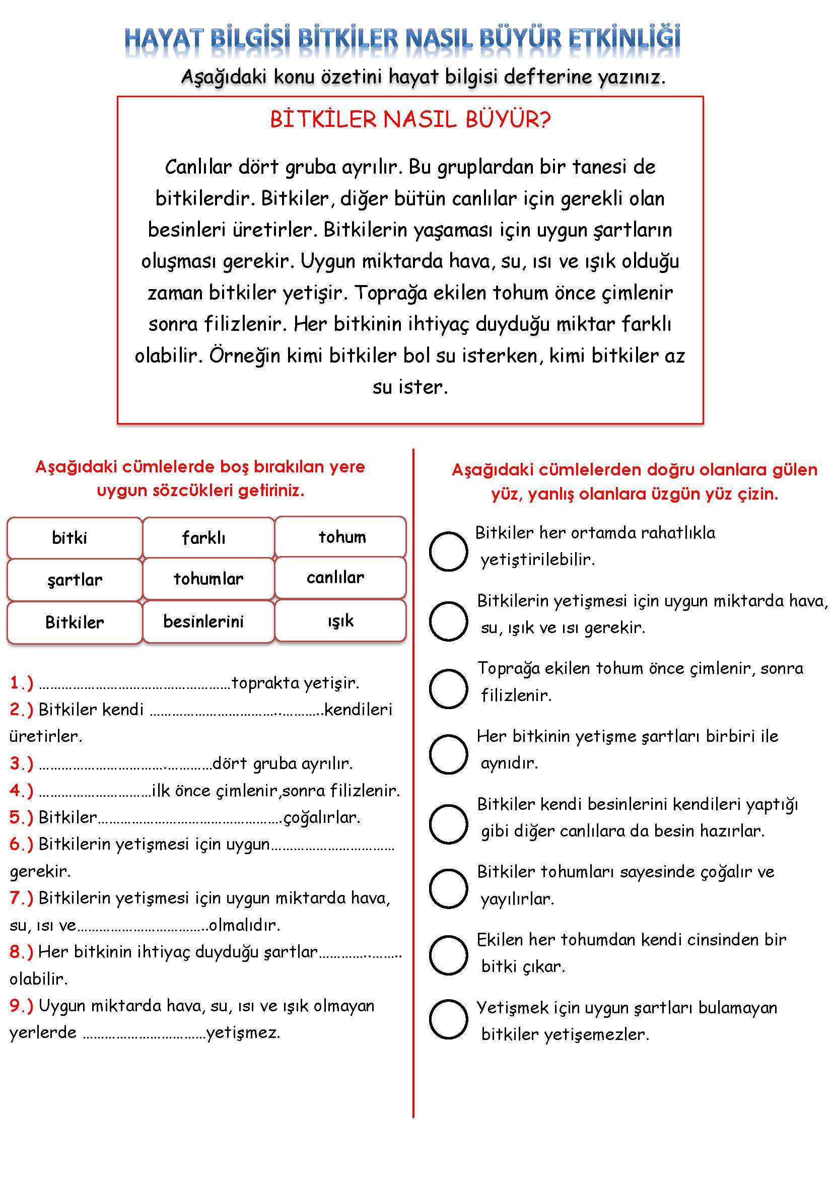 2. Sınıf Hayat Bilgisi Bitkiler Nasıl Büyür Etkinliği