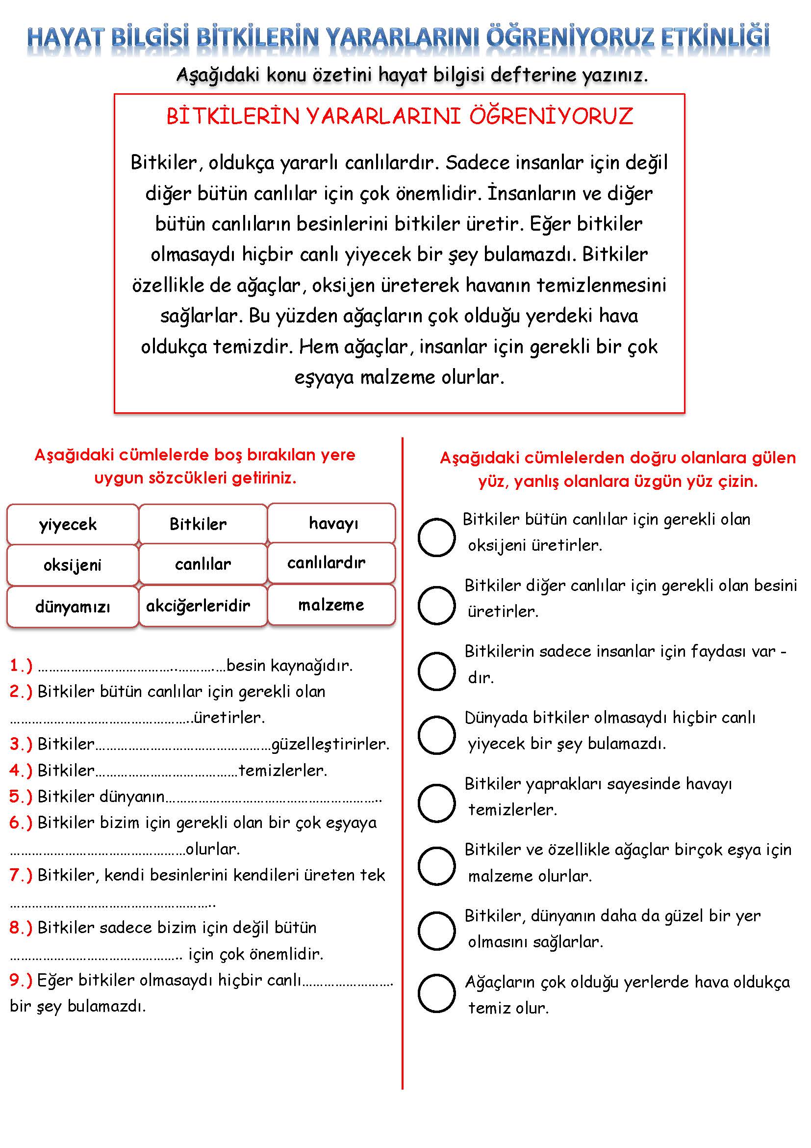 2. Sınıf Hayat Bilgisi Bitkilerin Yararlarını Öğreniyoruz Etkinliği