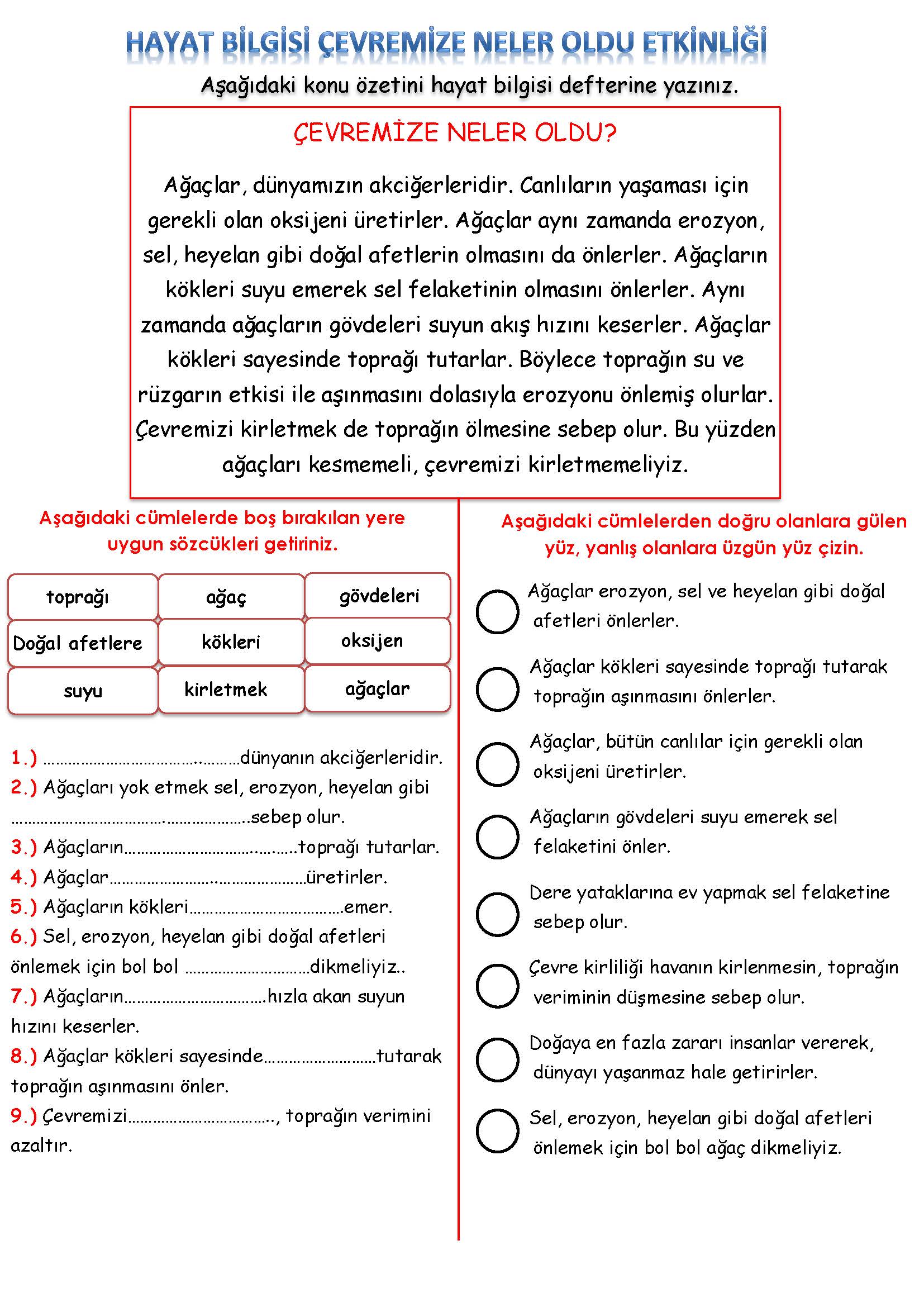 2. Sınıf Hayat Bilgisi Çevremize Neler Oldu Etkinliği