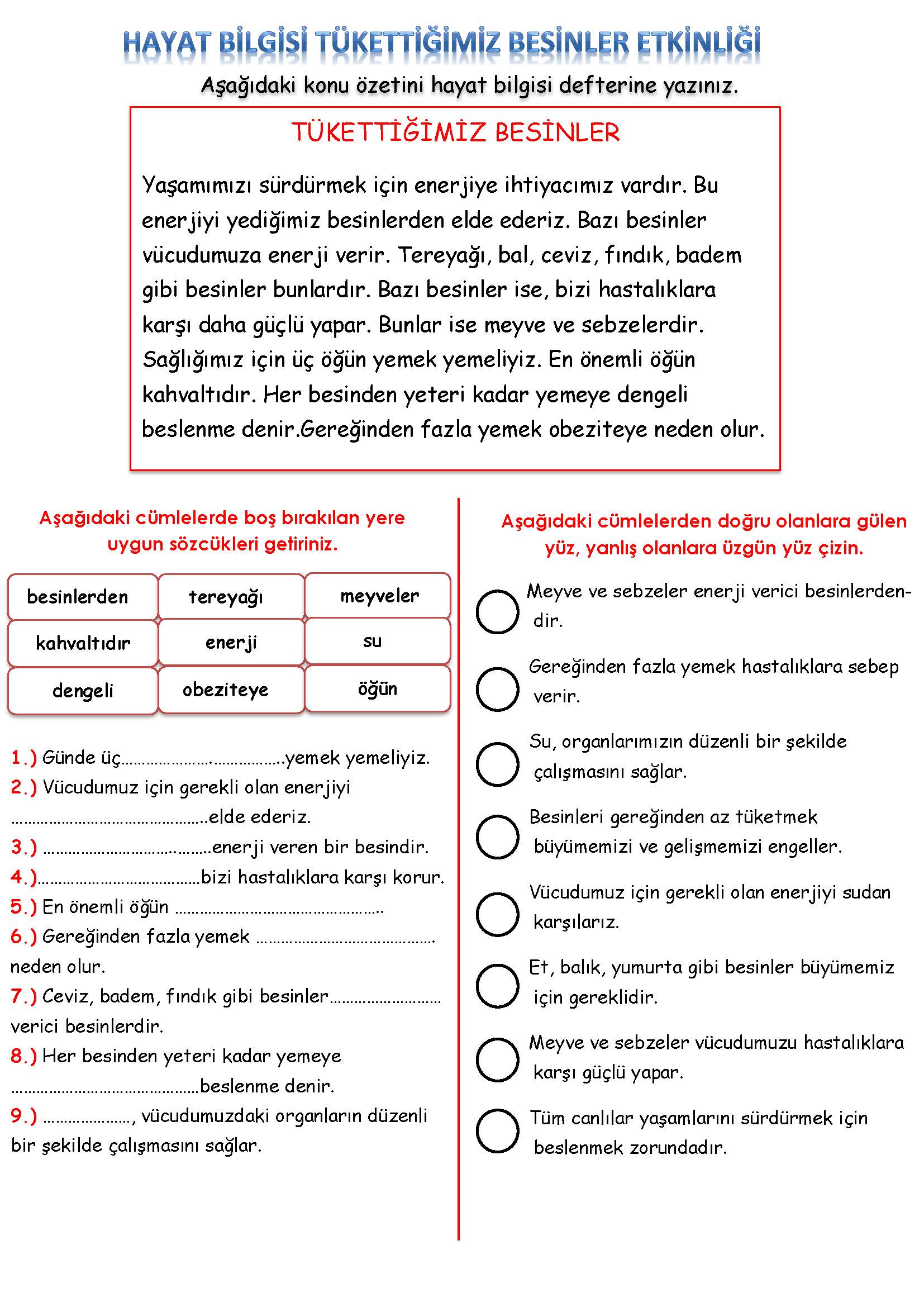 2. Sınıf Hayat Bilgisi Tükettiğimiz Besinler Etkinliği