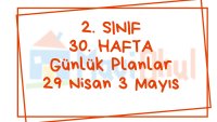 2. Sınıf 30. Hafta (29 Nisan - 3 Mayıs ) Günlük Planlar