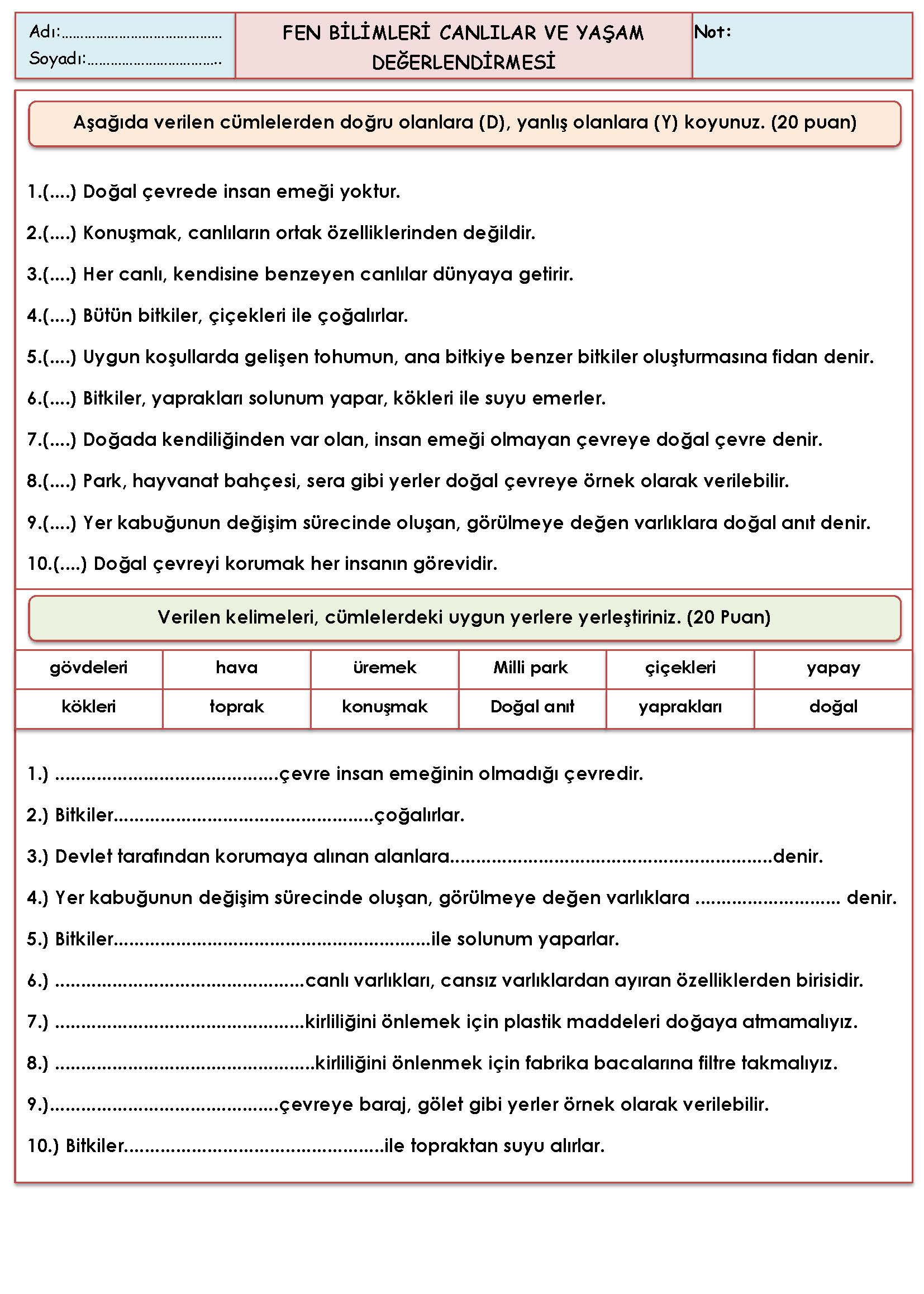 3. Sınıf Fen Bilimleri Canlılar ve Yaşam Değerlendirmesi