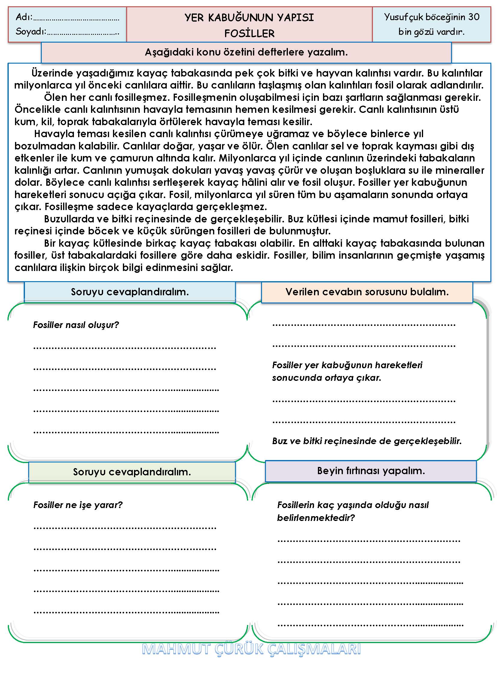 4. Sınıf Fen Bilimleri Fosiller Konu Özeti
