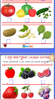 E SESİ HİSSETTİRME RESİMLİ ÇALIŞMA SAYFASI