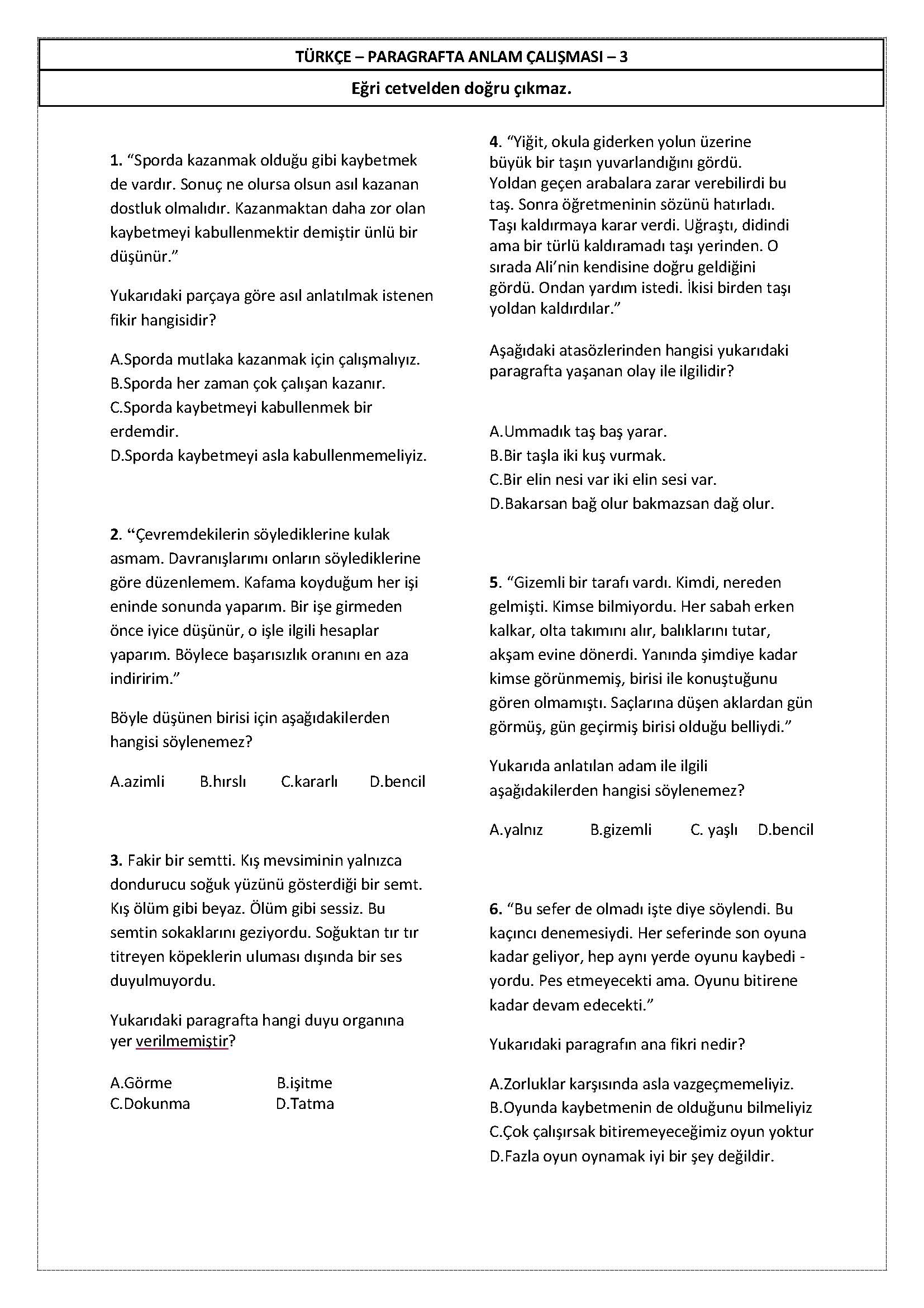 4. Sınıf Türkçe Paragrafta Anlam Etkinliği - 2