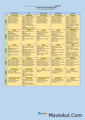 4. Sınıf 19. Hafta (03-07 Şubat) Haftalık Kazanım Listesi