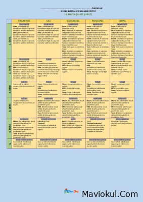 3. Sınıf 19. Hafta (03-07 Şubat) Haftalık Kazanım Listesi