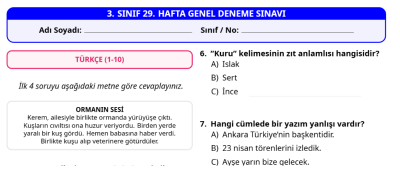 3. Sınıf 29. Hafta Deneme Sınavı - 40 Soru