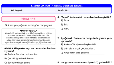 4. Sınıf 29. Hafta Deneme Sınavı - 40 Soru