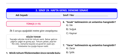 2. Sınıf 29. Hafta Deneme Sınavı - 40 Soru