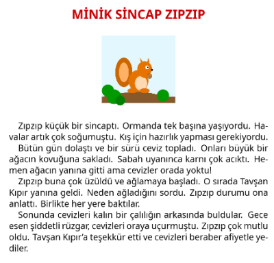 1. Sınıf Okuma Anlama ve Zeka Etkinliği