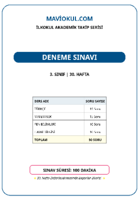 3. Sınıf 30. Hafta Deneme Sınavı