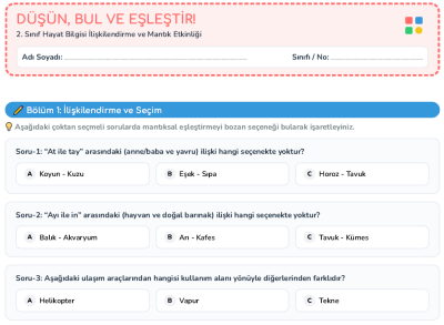 2. Sınıf Hayat Bilgisi 2. Dönem Konuları İlişkilendirme ve Eşleştirme Etkinliği PDF