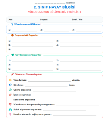 2. Sınıf Hayat Bilgisi: Vücudumuzun Bölümleri Etkinlik Kağıdı