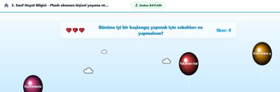 2. Sınıf Hayat Bilgisi Planlı Olmak